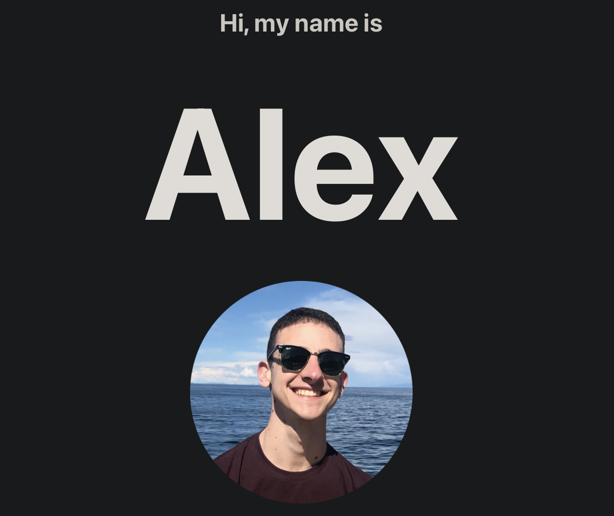 portfolio website